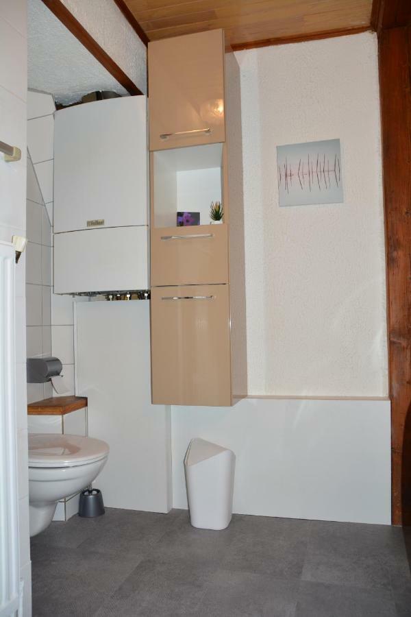 Le Cerf Apartment Colmar Exterior photo
