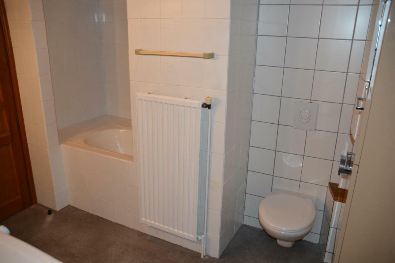 Le Cerf Apartment Colmar Exterior photo